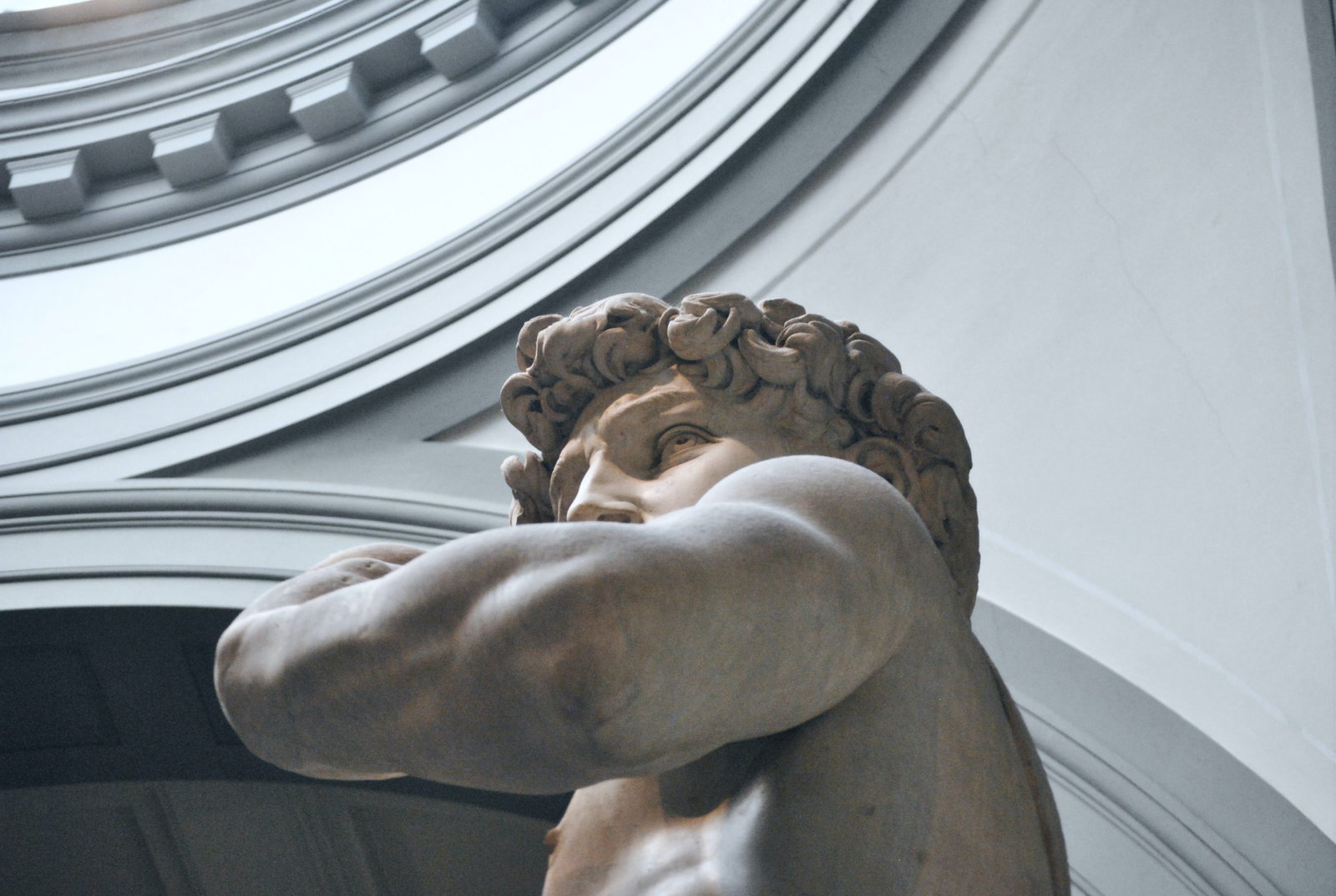 Experience Florence
