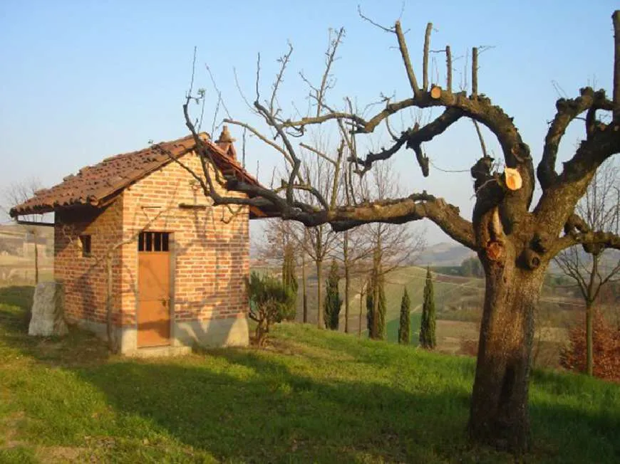 Best Things to do In the Langhe Region