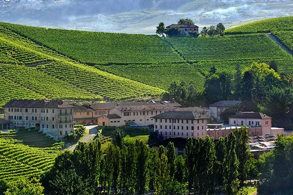 Best Things to do In the Langhe Region