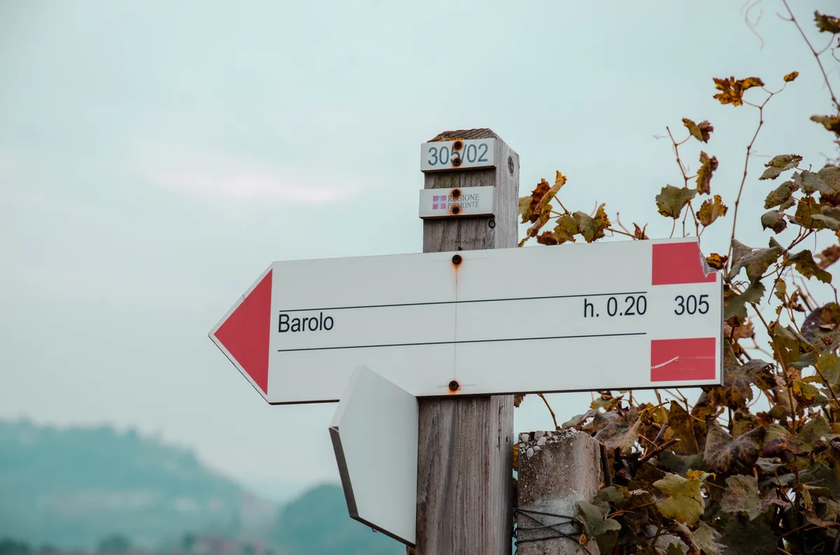 Best Things to do In the Langhe Region