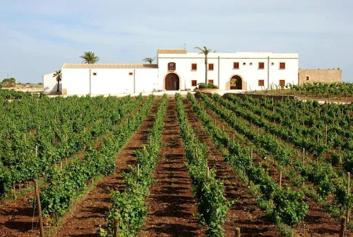 Donna Franca - Wine Resort - Sicily