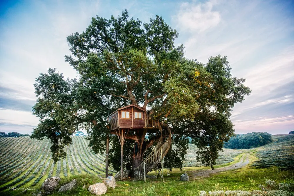 Glamping: A different way to enjoy Italy
