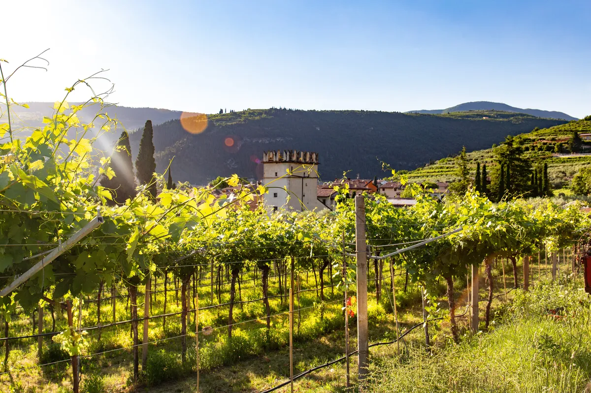 Top 15 Things to Do in Italy During the Autumn Travel Season